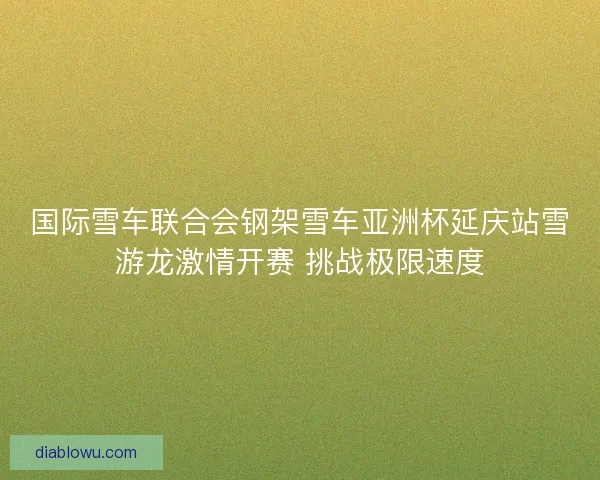 国际雪车联合会钢架雪车亚洲杯延庆站雪游龙激情开赛 挑战极限速度